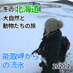 2/8　たった１日で網走を知るバスツアー「能取岬から眺める流氷」編